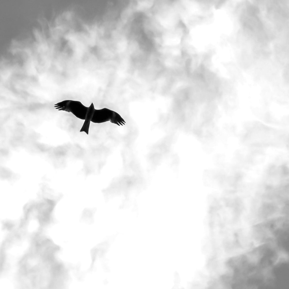 私らしさ / 書く瞑想 MAE Y method™