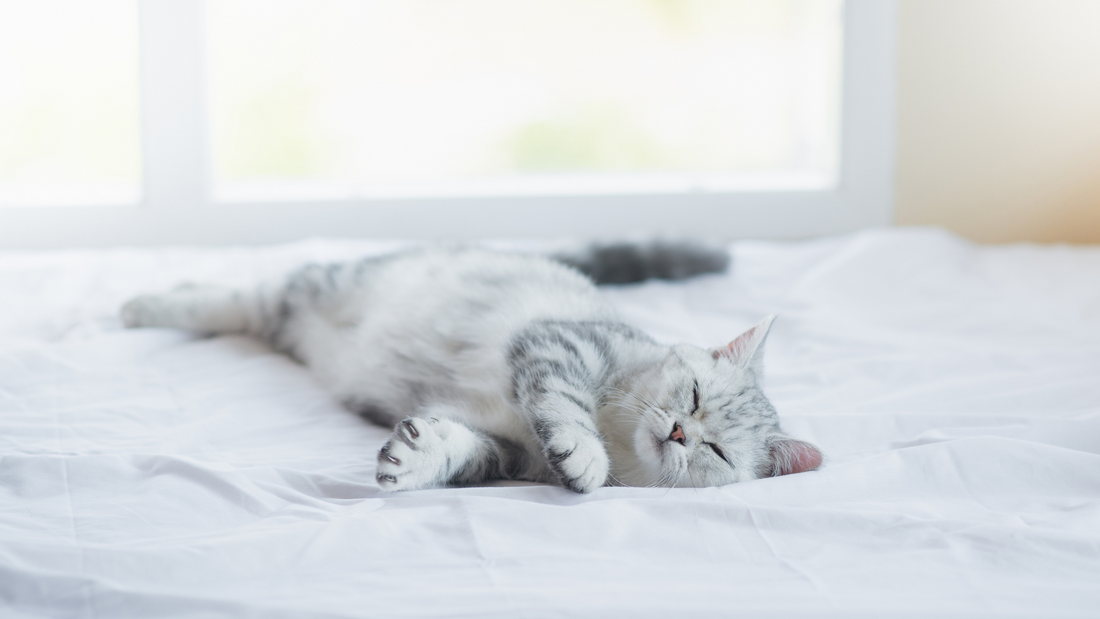 育児に参加しないパートナーにイライラする