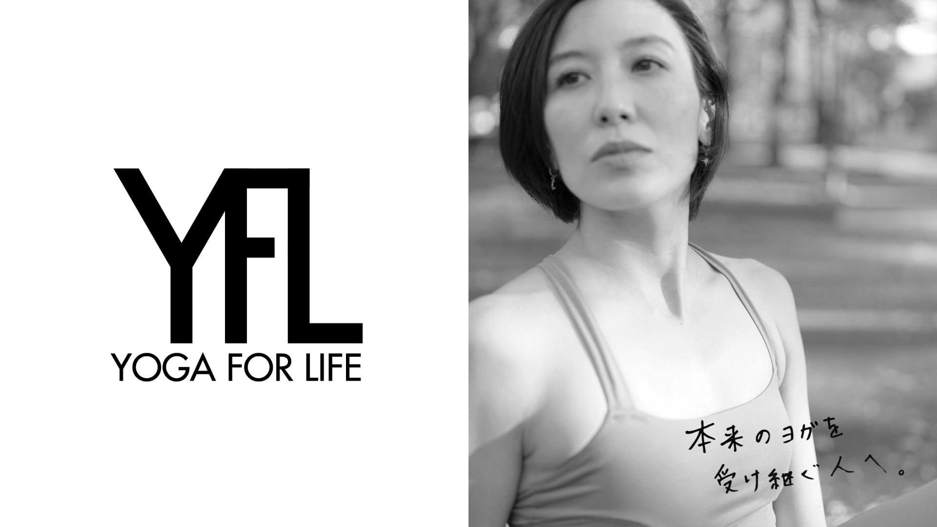 動画を読み込む: 